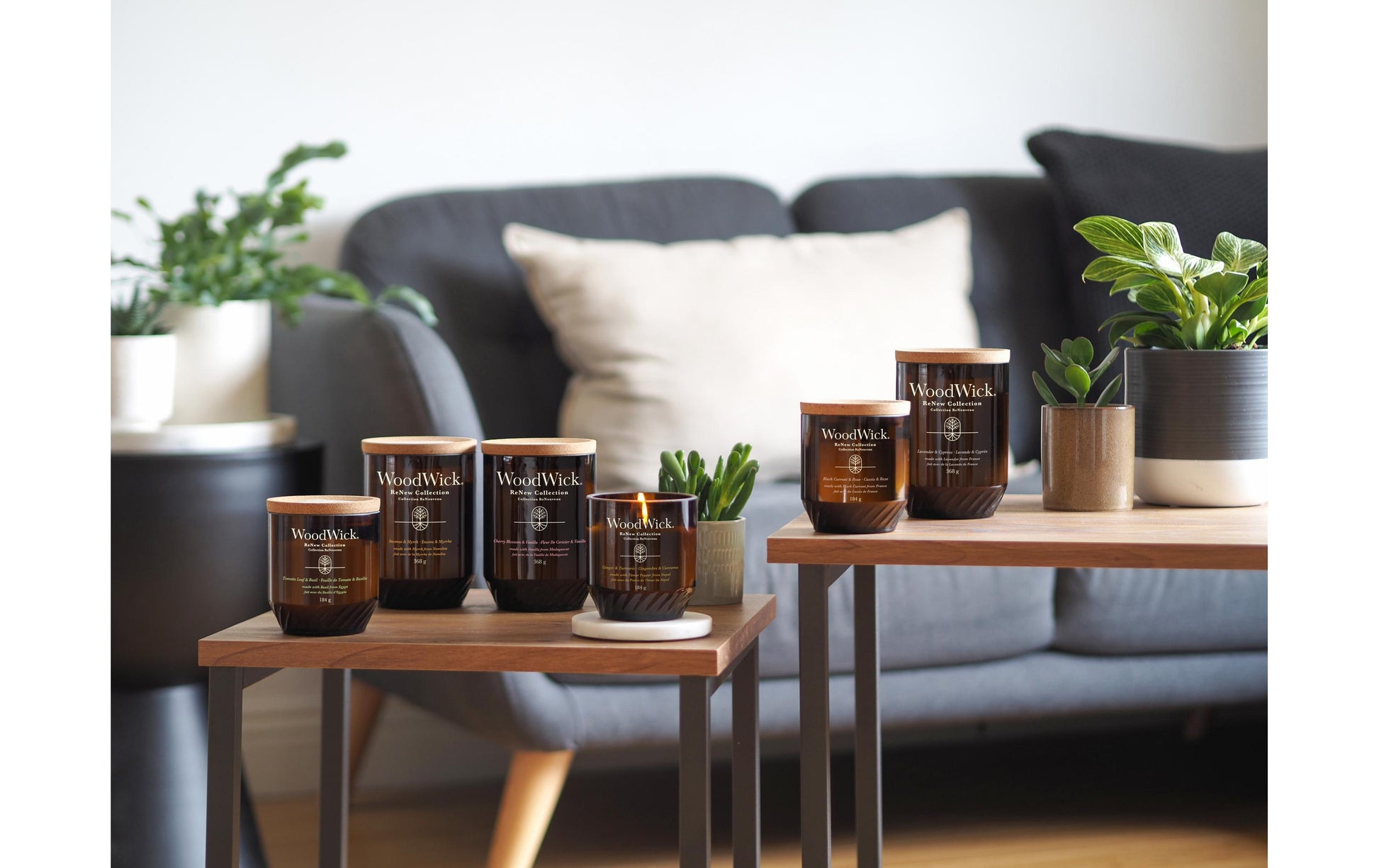 WoodWick Cherry Blossom & Vanilla – Duftkerze, Medium Jar