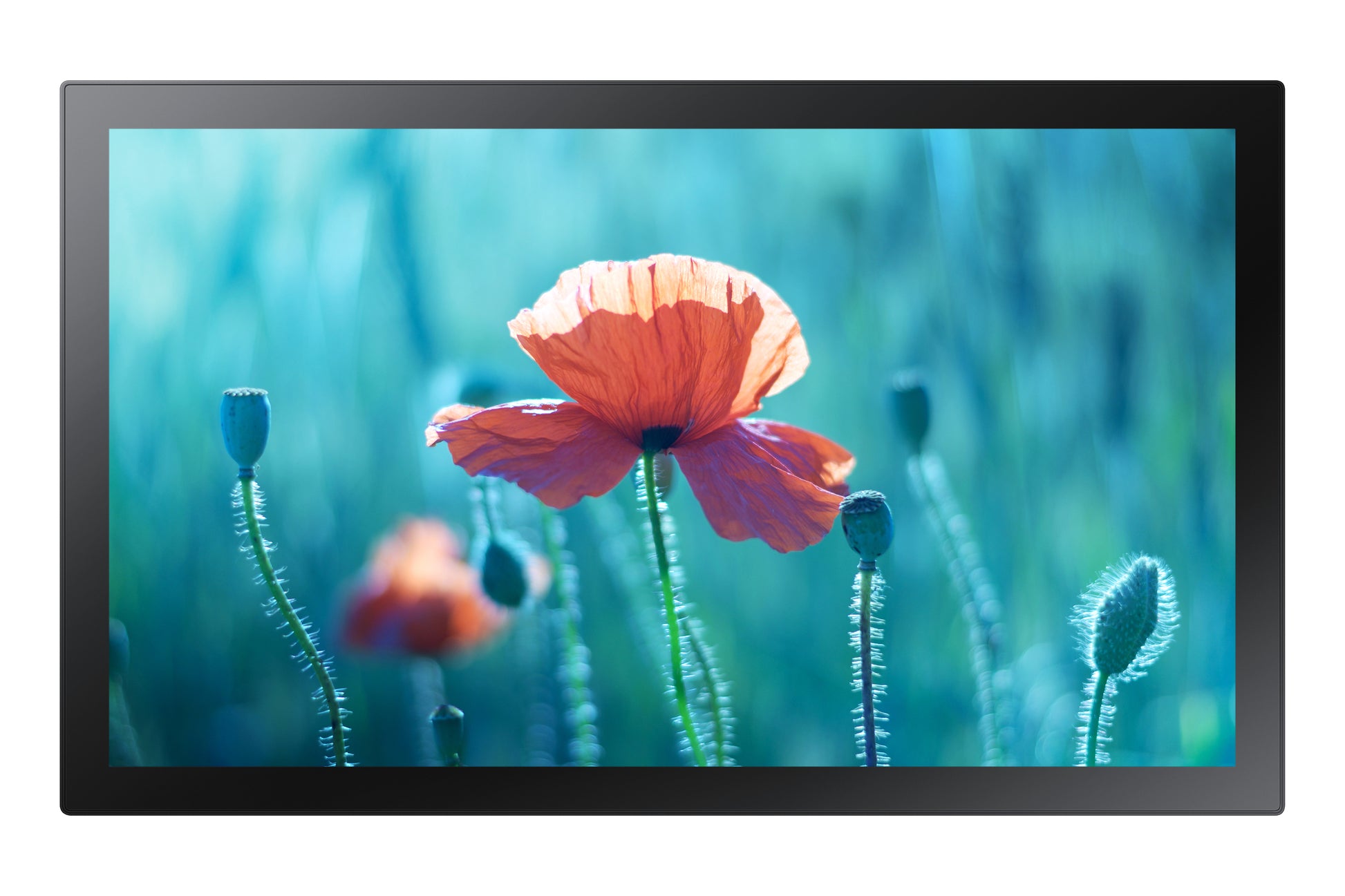 Samsung QB QB13R-T II – 13" Full HD Interaktives Display, Touch, 500 cd/m², Tizen 4.0, Betrieb: 16/7