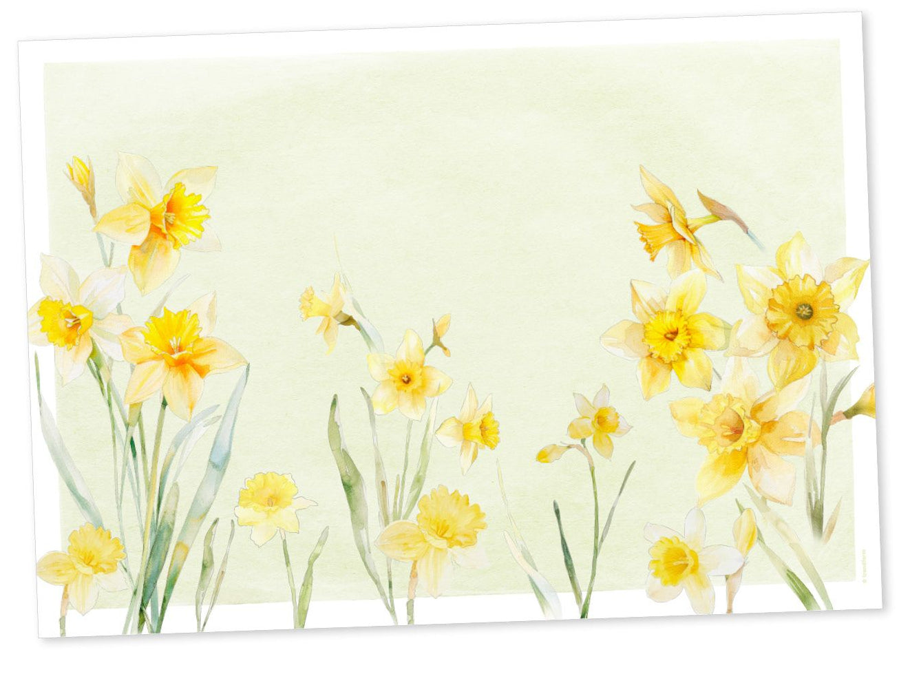 Trendform Tischset Sunny Bloom – Papier, Blumenmotiv, 42 × 29,7 cm – 6 Stk.