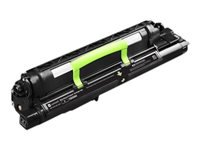 Lexmark Entwicklereinheit Schwarz – bis zu 300'000 Seiten – für CS820, CX820, CX825, u. a.