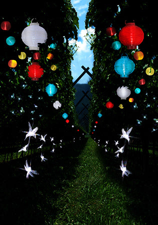 Star Trading Lichterkette Festival 477-14 – 2,7 m – 0,65 W – Kaltweiss – IP44 – Akkubetrieb