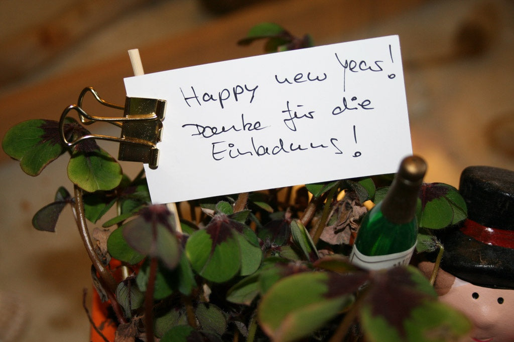 MAUL Klemmbrett A4 – Stahl, schwarz – mit Aufhängeöse – bis 90 Blatt – 12er-Pack