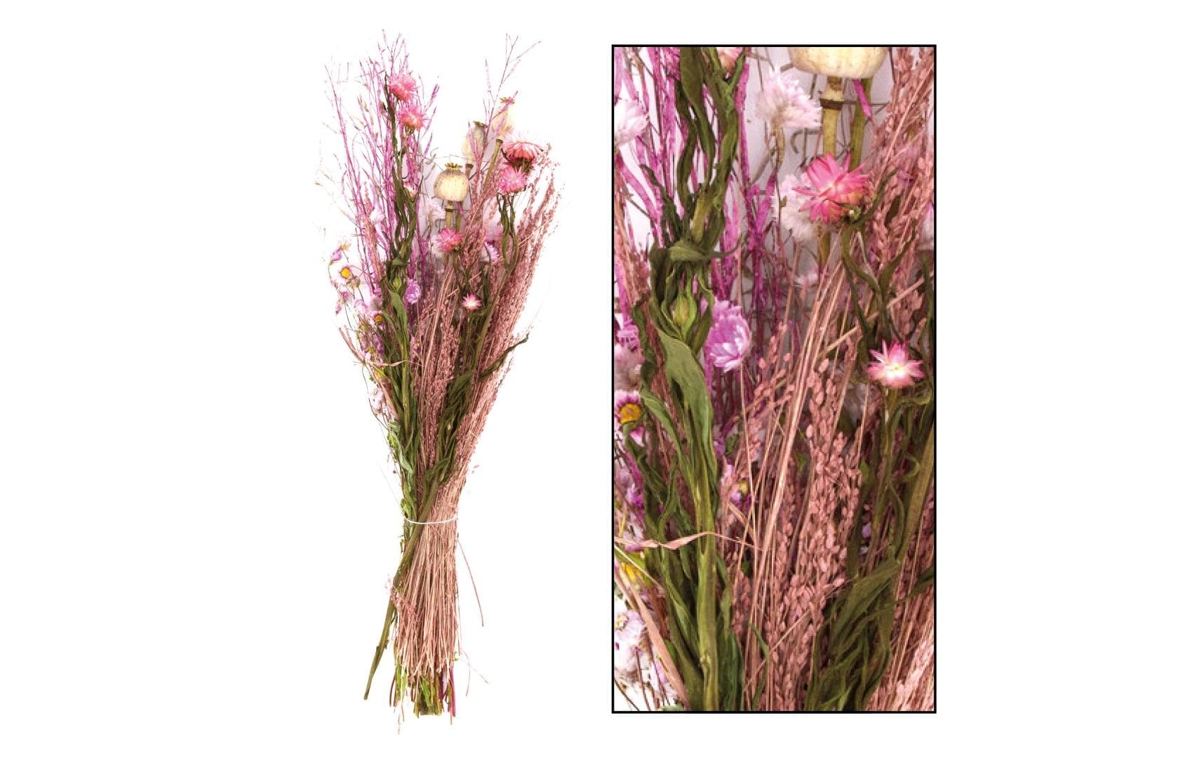 CHALET Trockenblumen – Rosa – 75 cm – 1er-Pack