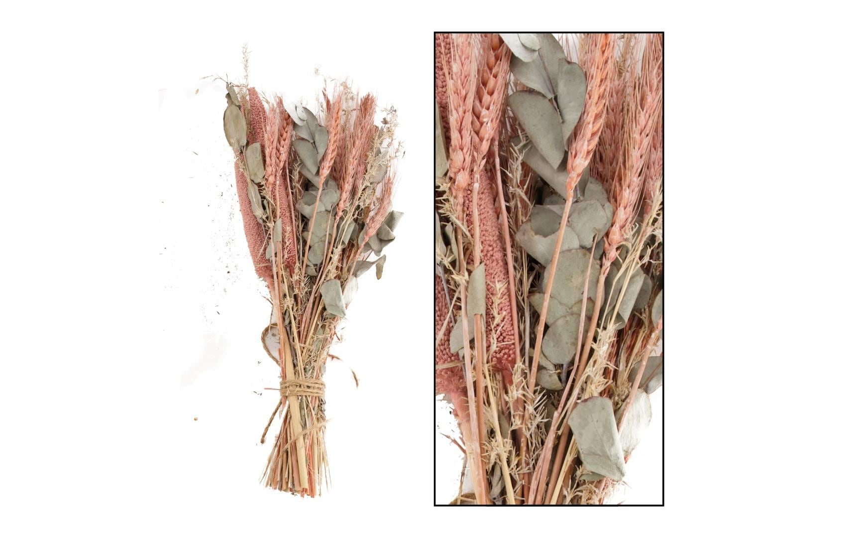 CHALET Trockenblumen Lachs-Nature – 50 cm – 1er-Pack
