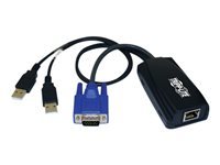 Tripp Lite B078-101-USB2 – CIM-Modul VGA/USB, 30 m – für NetCommander