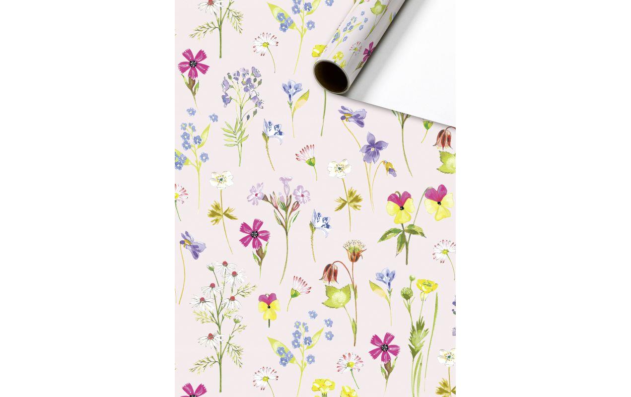 Stewo Geschenkpapier Rolle Everyday – Chantal – 80 g/m2, gestrichenes Papier – 700 × 2000 mm