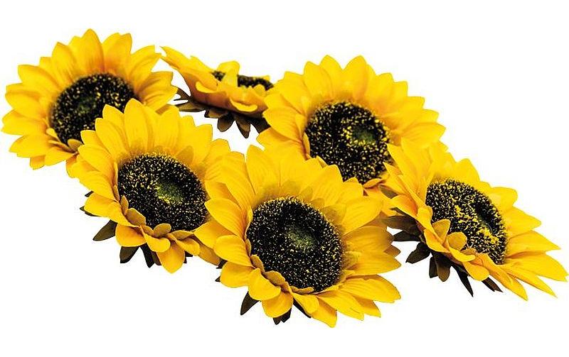 Dekomat AG Künstliche Blütenpflanze – Ø 14 cm – Kunstseide, mehrfarbig – 6er-Pack