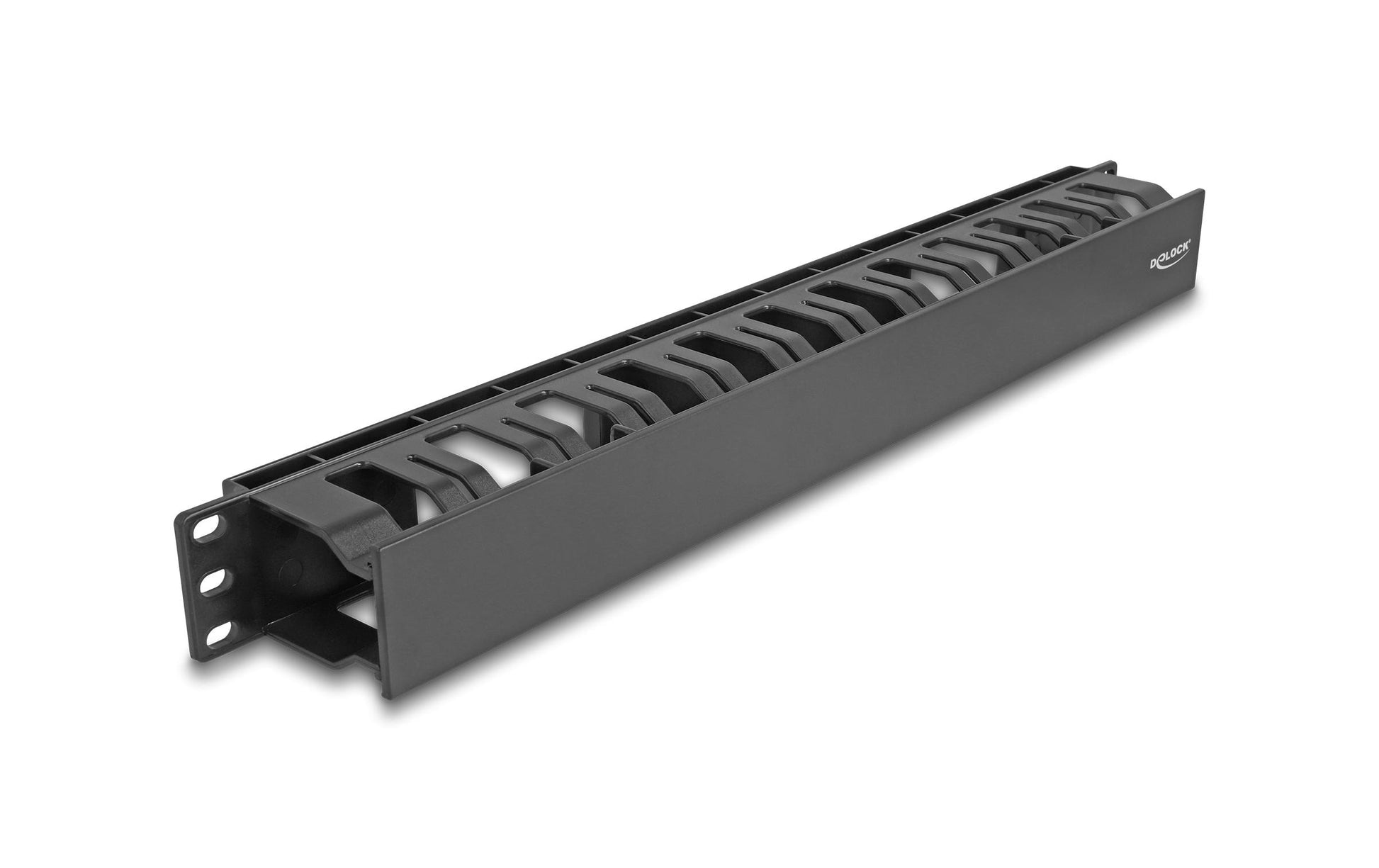 DeLOCK Rangierpanel 19" 1U, 2 Öffnungen, Kunststoff – schwarz