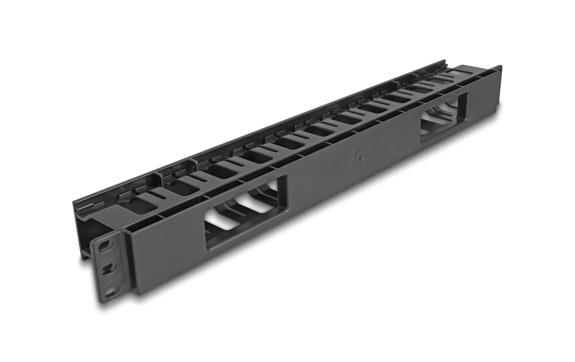DeLOCK Rangierpanel 19" 1U, 2 Öffnungen, Kunststoff – schwarz
