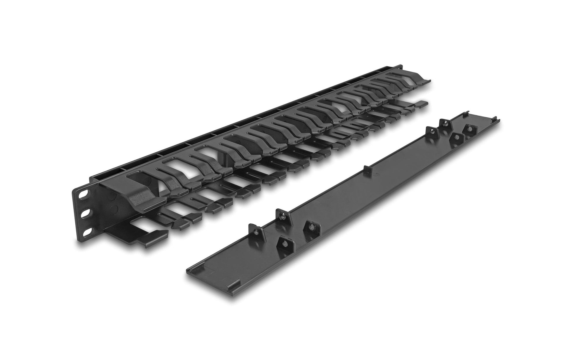 DeLOCK Rangierpanel 19" 1U, 2 Öffnungen, Kunststoff – schwarz