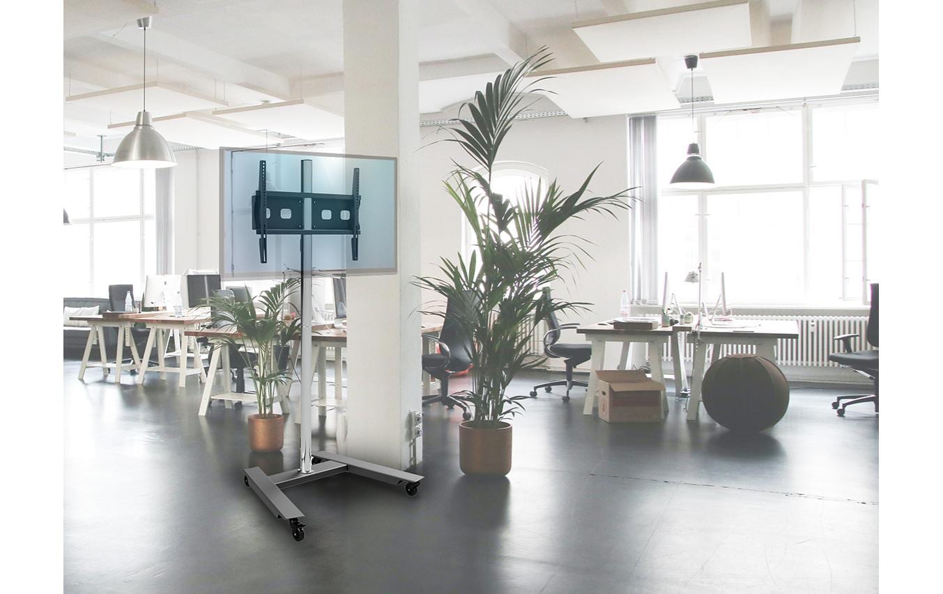 Edbak TR5E – Trolley, höhenverstellbar, für 48", VESA 600×100, bis 50 kg