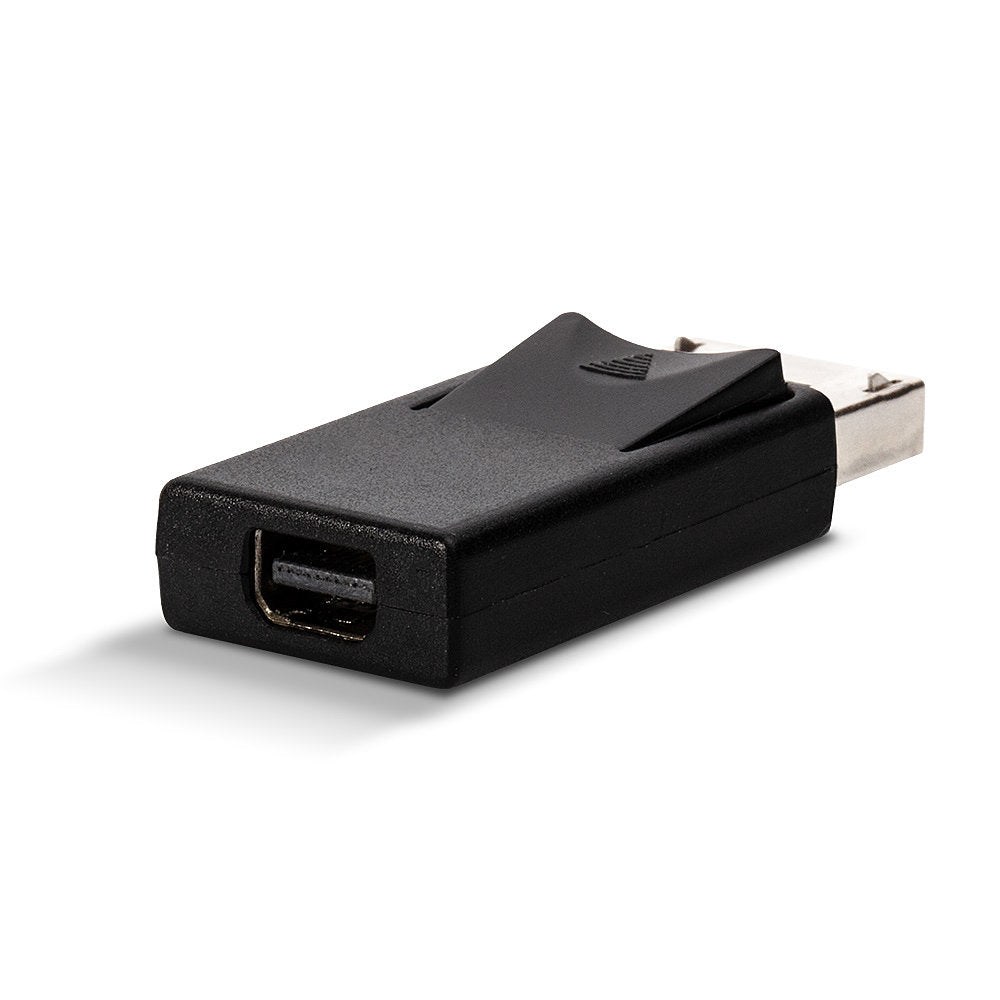 Lindy DisplayPort (Stecker) auf Mini DisplayPort (Stecker) Adapter