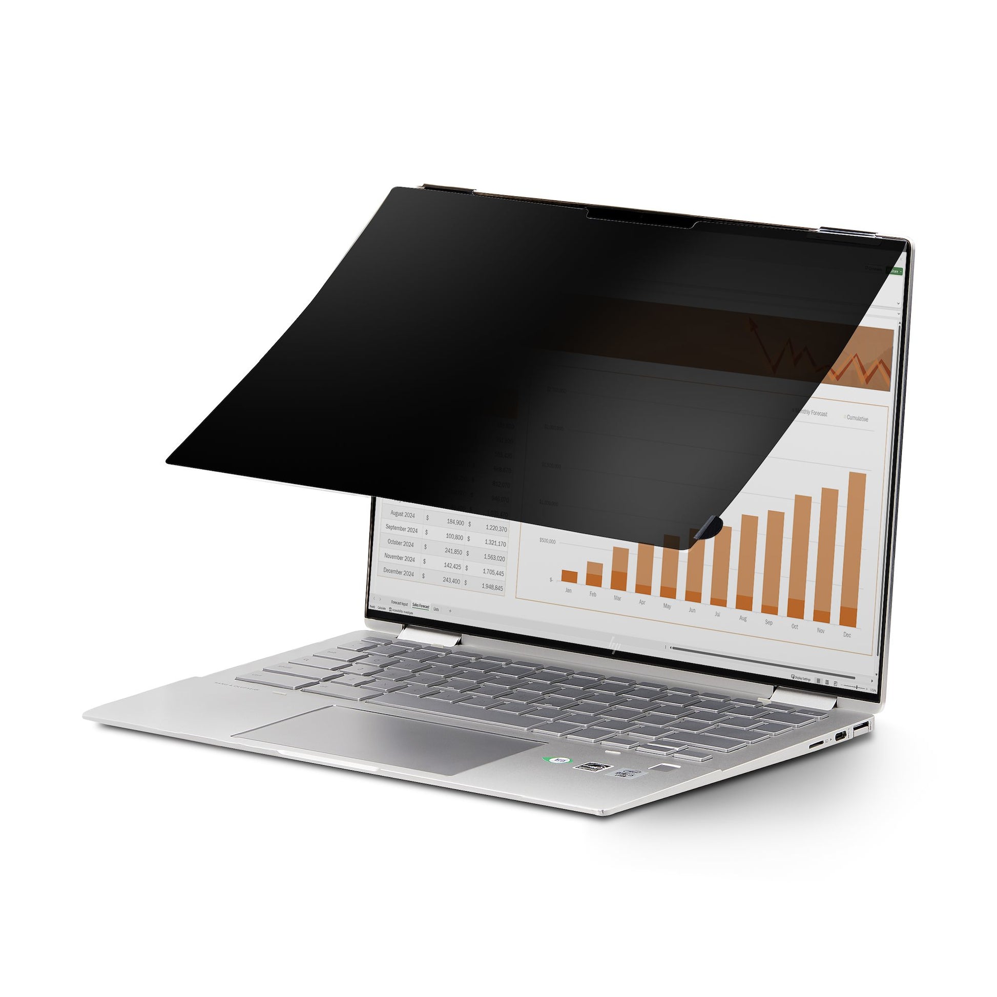 StarTech.com Displayschutz für 14" Laptop