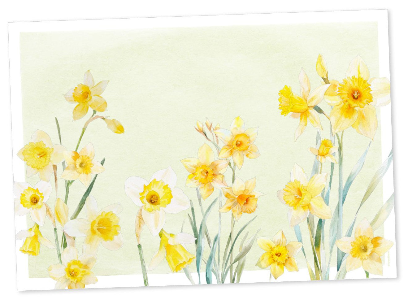 Trendform Tischset Sunny Bloom – Papier, Blumenmotiv, 42 × 29,7 cm – 6 Stk.