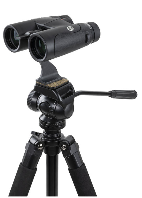 Celestron Fernglas Nature DX ED – 10×42 – Dachkant – Wasserdicht – Schwarz
