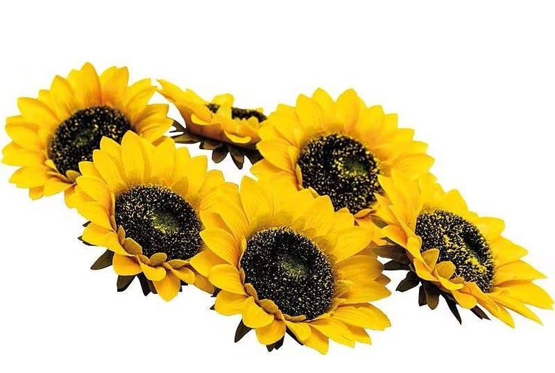 Dekomat AG Künstliche Blütenpflanze – Ø 14 cm – Kunstseide, mehrfarbig – 6er-Pack