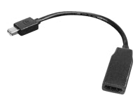 Lenovo Mini DisplayPort (Stecker) auf HDMI (Buchse) Adapter, PCG