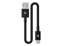 Apple USB-A auf USB-C Kabel – 0,2 m, USB 2.0, Schnellladen, Schwarz, für iPhone, iPad, AirPods