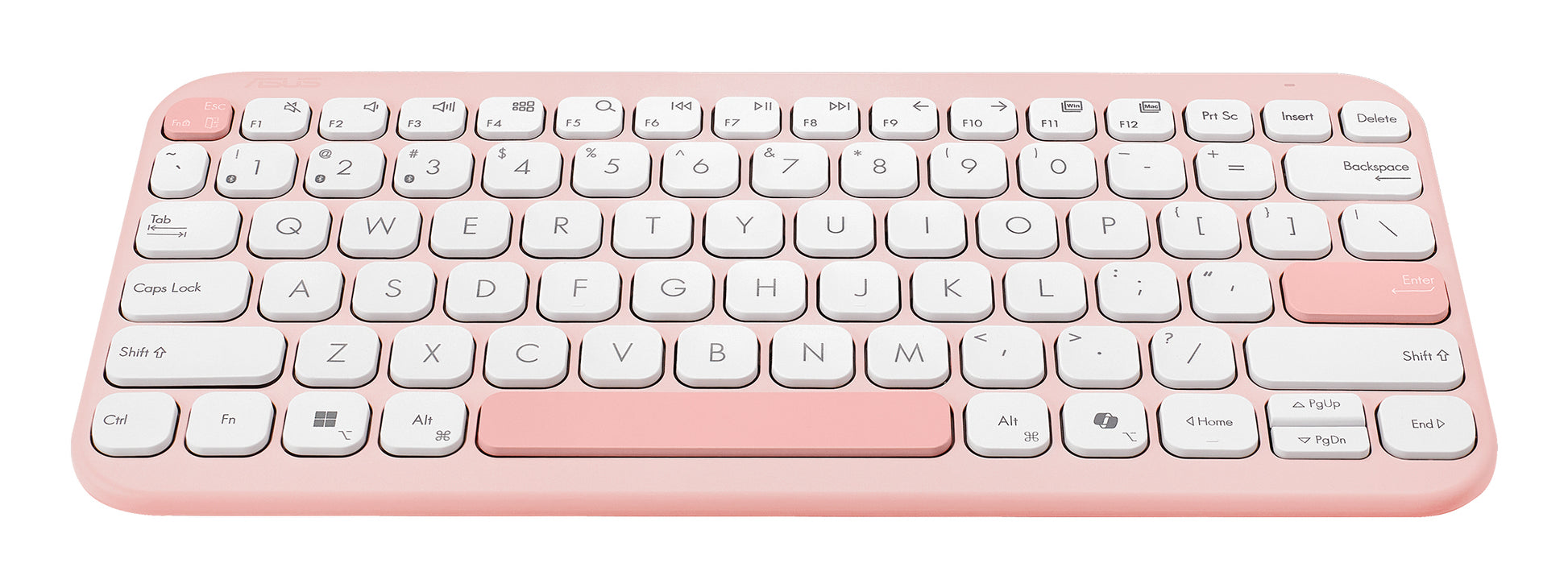 ASUS Marshmallow KW100 – Tastatur 75% – Schere – Bluetooth – QWERTZ (DE) – ohne Ziffernblock – Pink