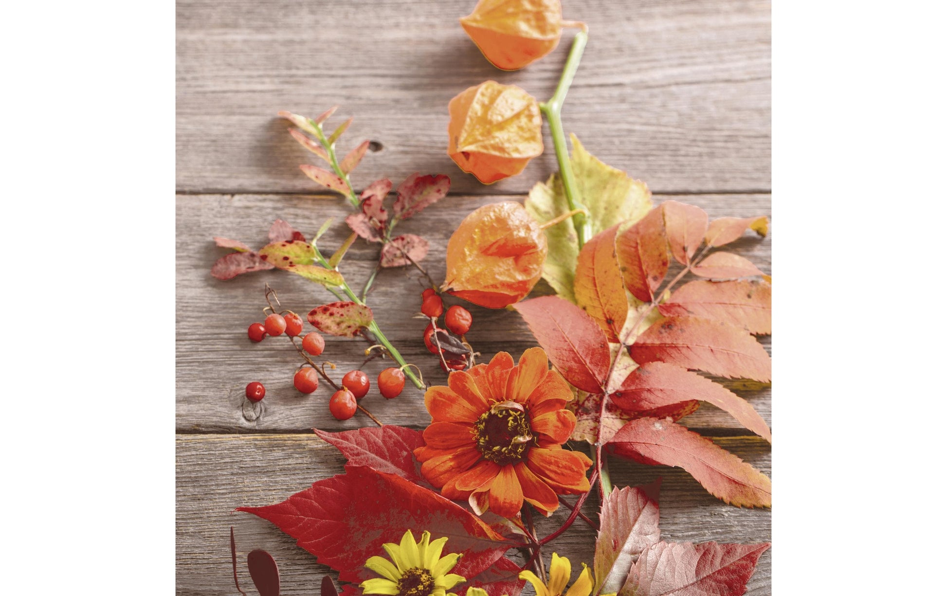 Paper + Design Servietten Rainy Leaves – mehrfarbig – 33 × 33 cm, 3-lagig – 20 Stück