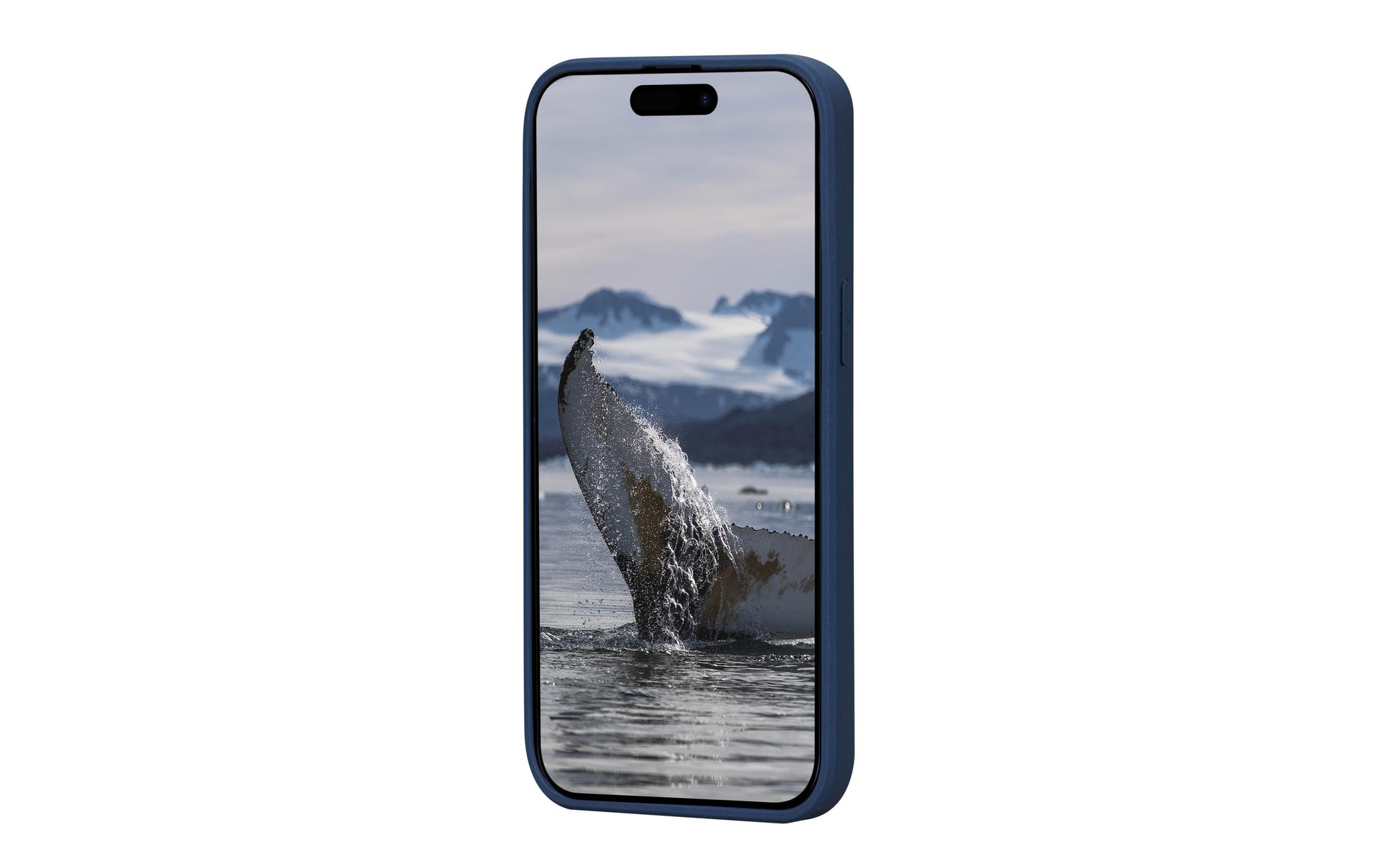 dbramante1928 Backcover Greenland – für Apple iPhone 15 Plus – blau – Recycling-Kunststoff