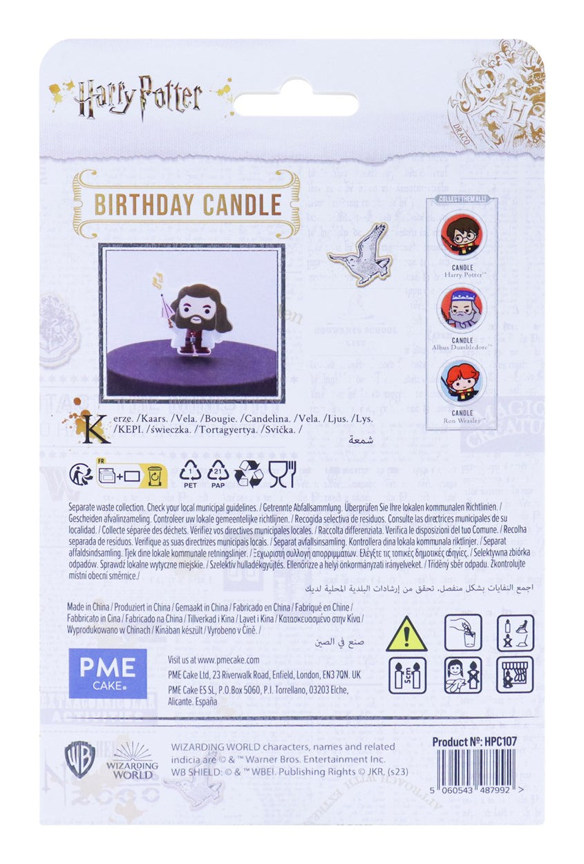 PME Geburtstagskerze Rubeus Hagrid – mehrfarbig – 9,5 × 9,5 cm – 1 Stk