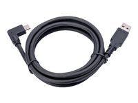 Jabra USB-Kabel, 1,8 m, für Jabra PanaCast