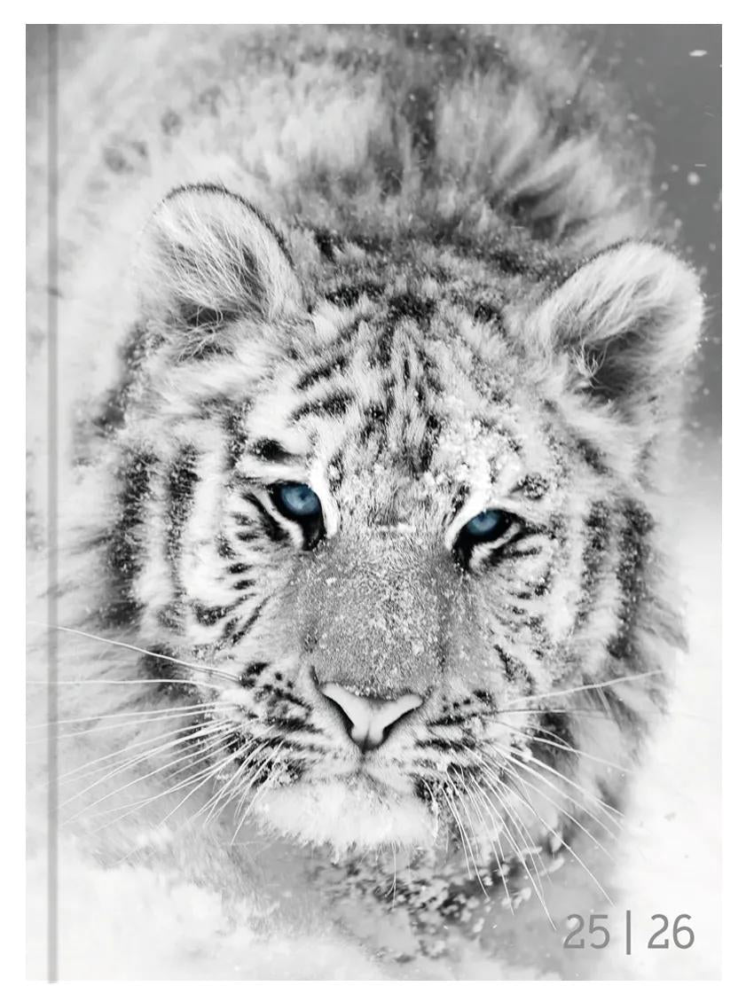 Biella mydiary Schüleragenda – 1 Tag/Seite, gebunden, 12 × 16,5 cm, Aug–Jul, Schwarz & Weiss, FSC
