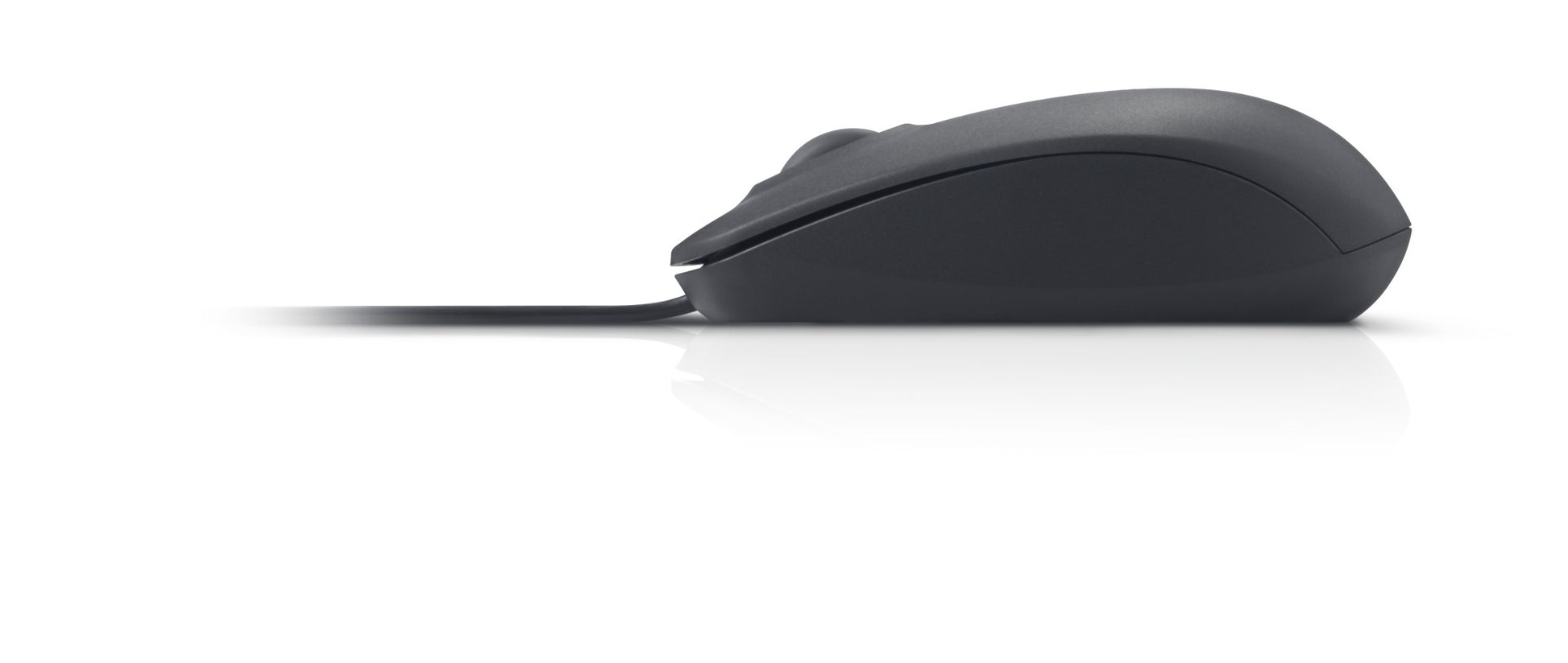 Dell MS111 – Beidhändig, USB-A
