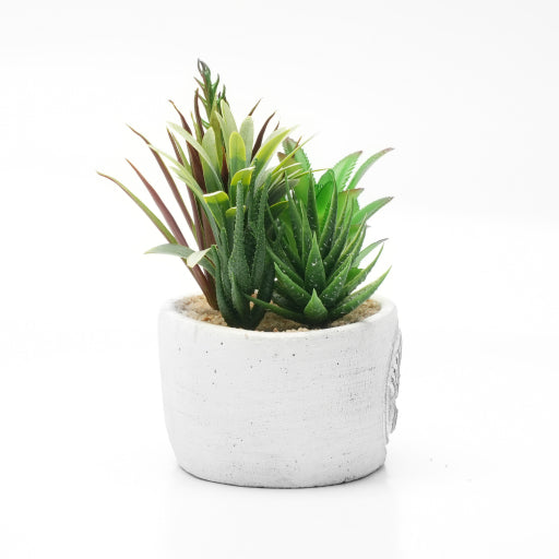 Dameco Künstliche Topfpflanze – 16 × 20 × 11 cm – Beton, Weiss