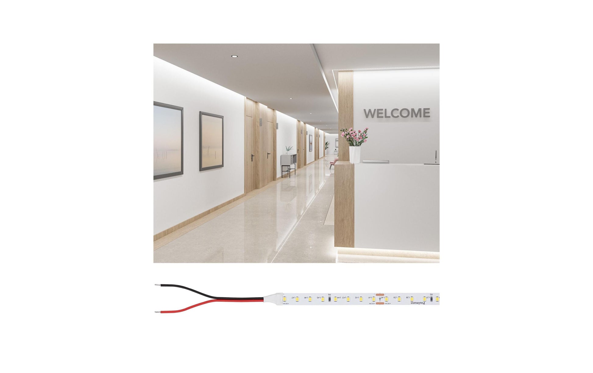 Paulmann LED-Strip 5 m – Neutralweiss 4000 K, 3950 lm, 30 W, dimmbar – IP20 – Gold ProLED