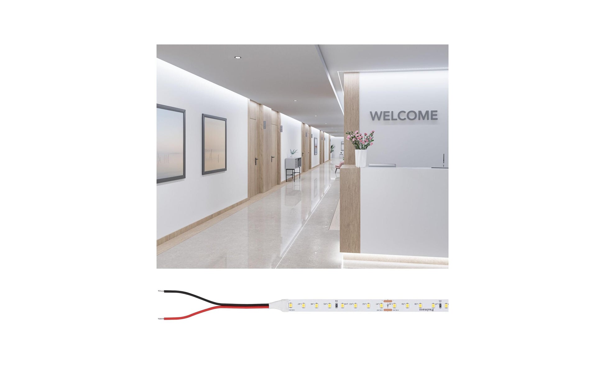 Paulmann LED-Strip 10 m – Kaltweiss 6500 K, 7900 lm, 55 W, dimmbar, IP20 – Gold ProLED