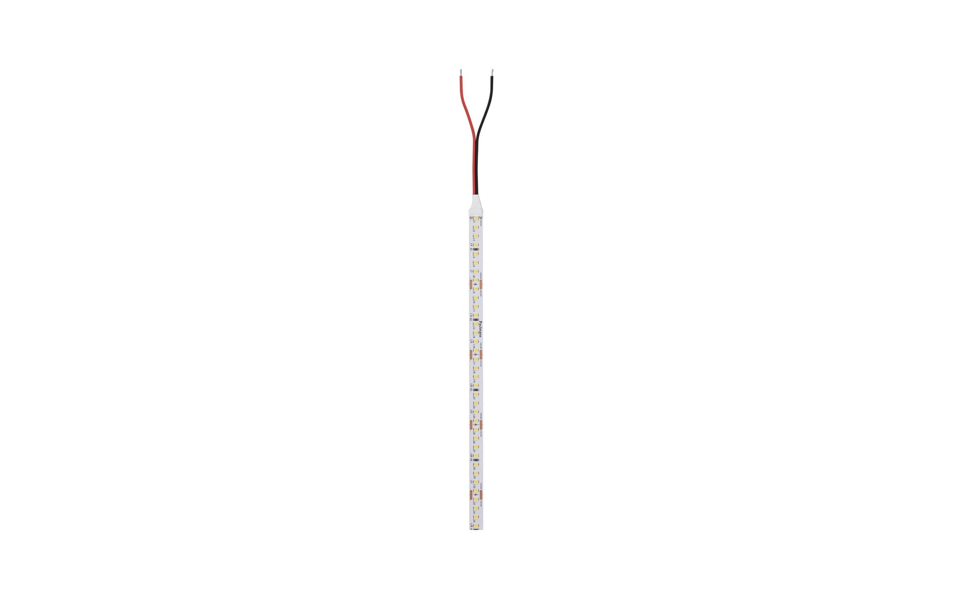Paulmann LED-Strip – 5 m, 8000 lm, 62 W, 6500 K, dimmbar, weiss, 24 V