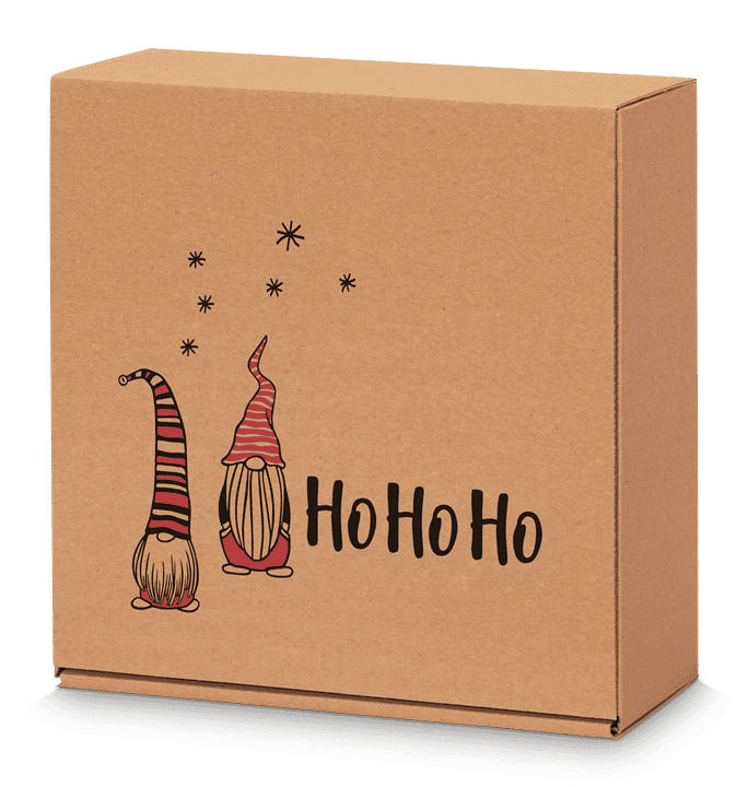 Brieger Wichtel Geschenkbox – 250 × 100 × 250 mm – 1 Stk.