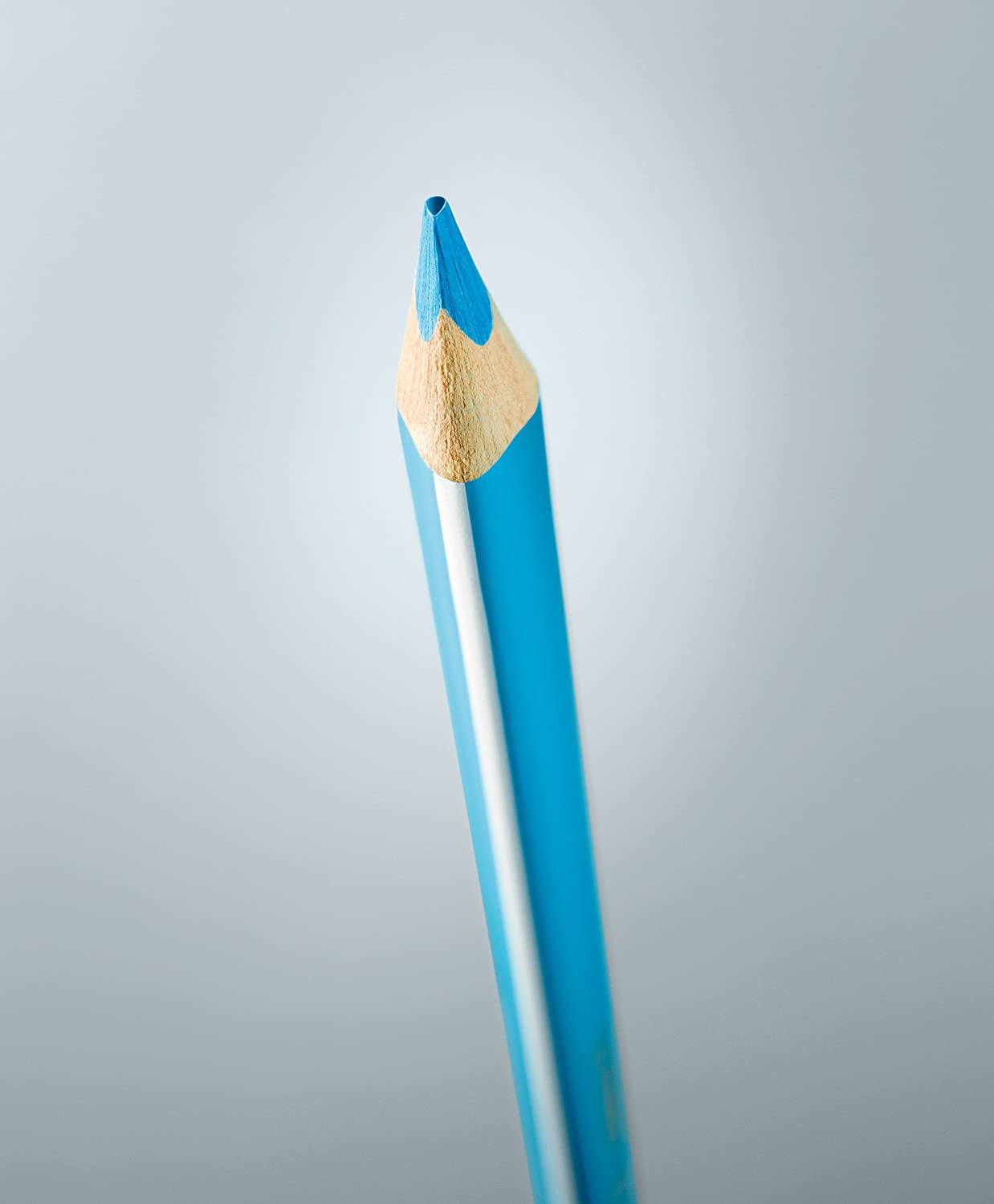 STABILO Buntstift Trio dick Mehrfarbig 24er Etui – mit Spitzer, dreikant, Strichbreite 4,2 mm