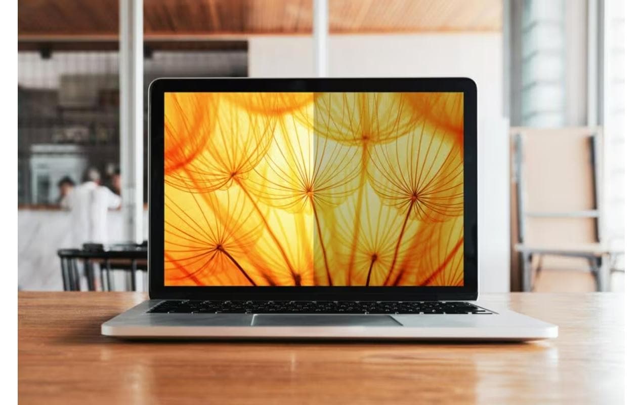 3M Displayschutz für Dell 13