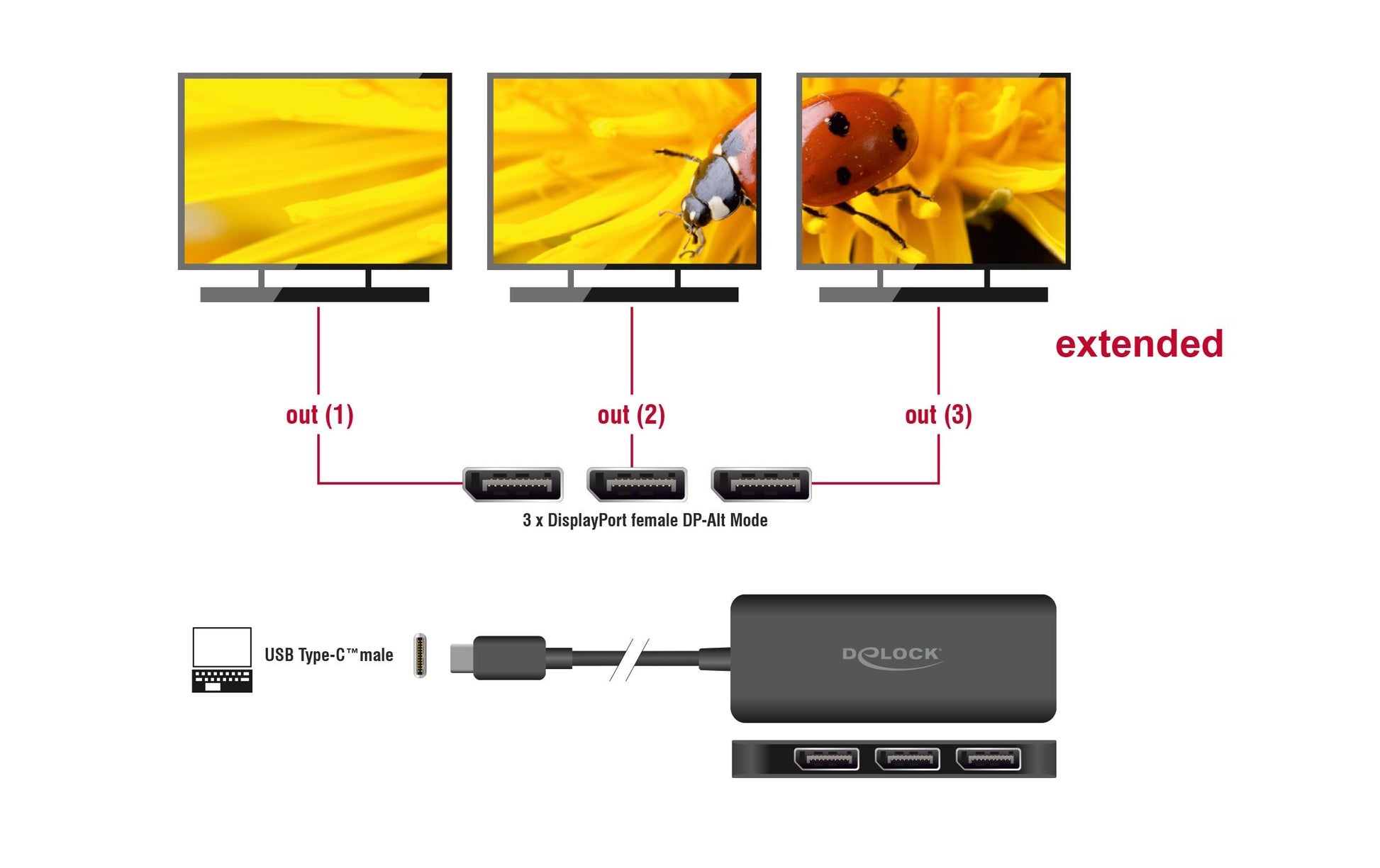DeLOCK Multi-Monitor-Adapter USB-C zu 3× DisplayPort – 4K (3840 × 2160) @ 60 Hz, 0,15 m, DisplayPort 1.4
