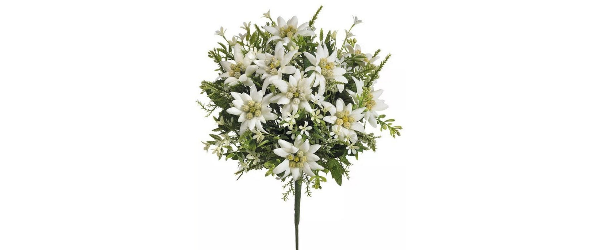 Botanic-Haus Künstliche Edelweiss-Blütenpflanze – 29 cm, Kunststoff, Weiss, 6er-Pack