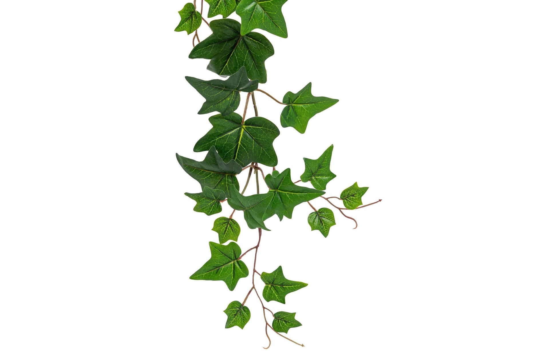Botanic-Haus Girlande – 1,5 m – 6-teilig, 20 cm breit – Recycelter Kunststoff, grün
