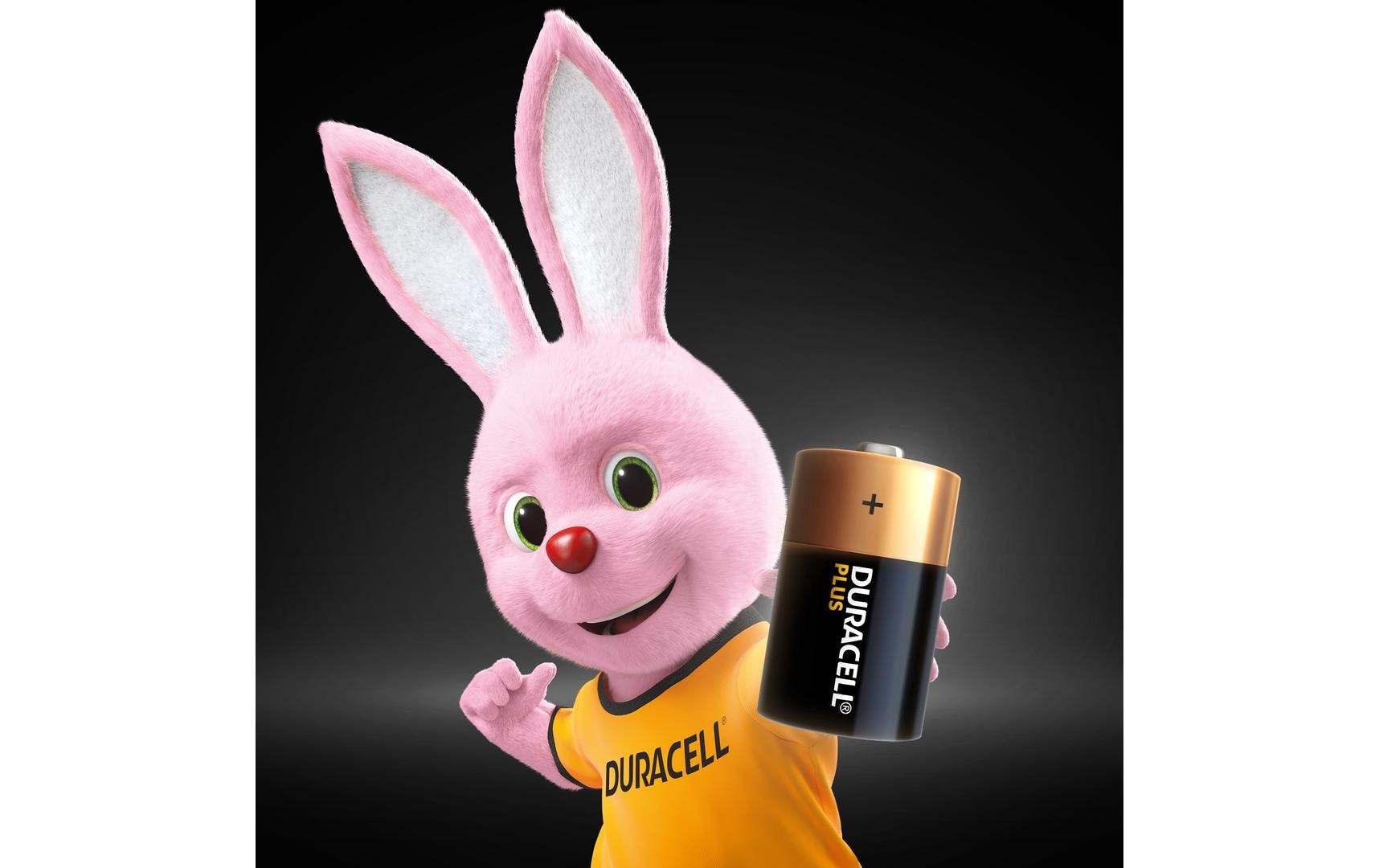 Duracell Akku 1,5 V Alkaline – für Geräte