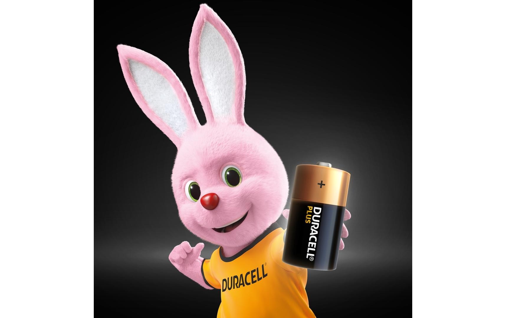 Duracell C Batterien, Alkaline, 1,5 V – 2 Stk.