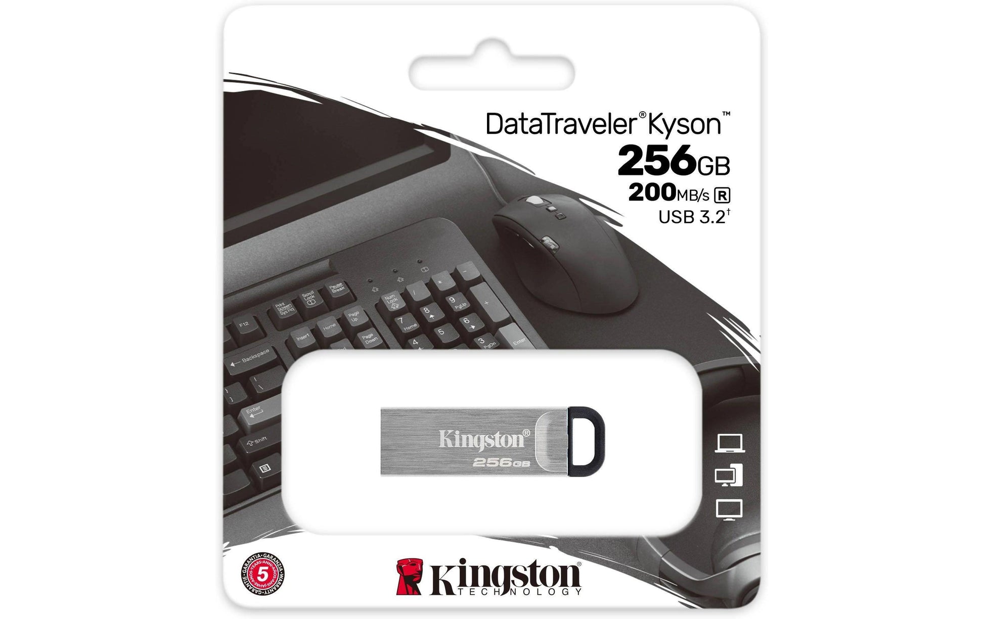 Kingston Technology Kingston DataTraveler Kyson USB-Stick – 256 GB, USB 3.2 Gen 1