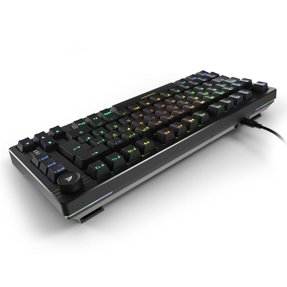 Sharkoon SGK25 – Tastatur 75% – Mechanisch – Verkabelt – QWERTZ (DE) – RGB – Ohne Ziffernblock – Schwarz