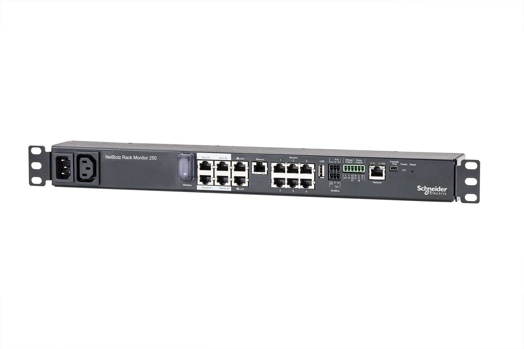APC NetBotz Rack Monitor 250 Sensor-Gateway/Monitor