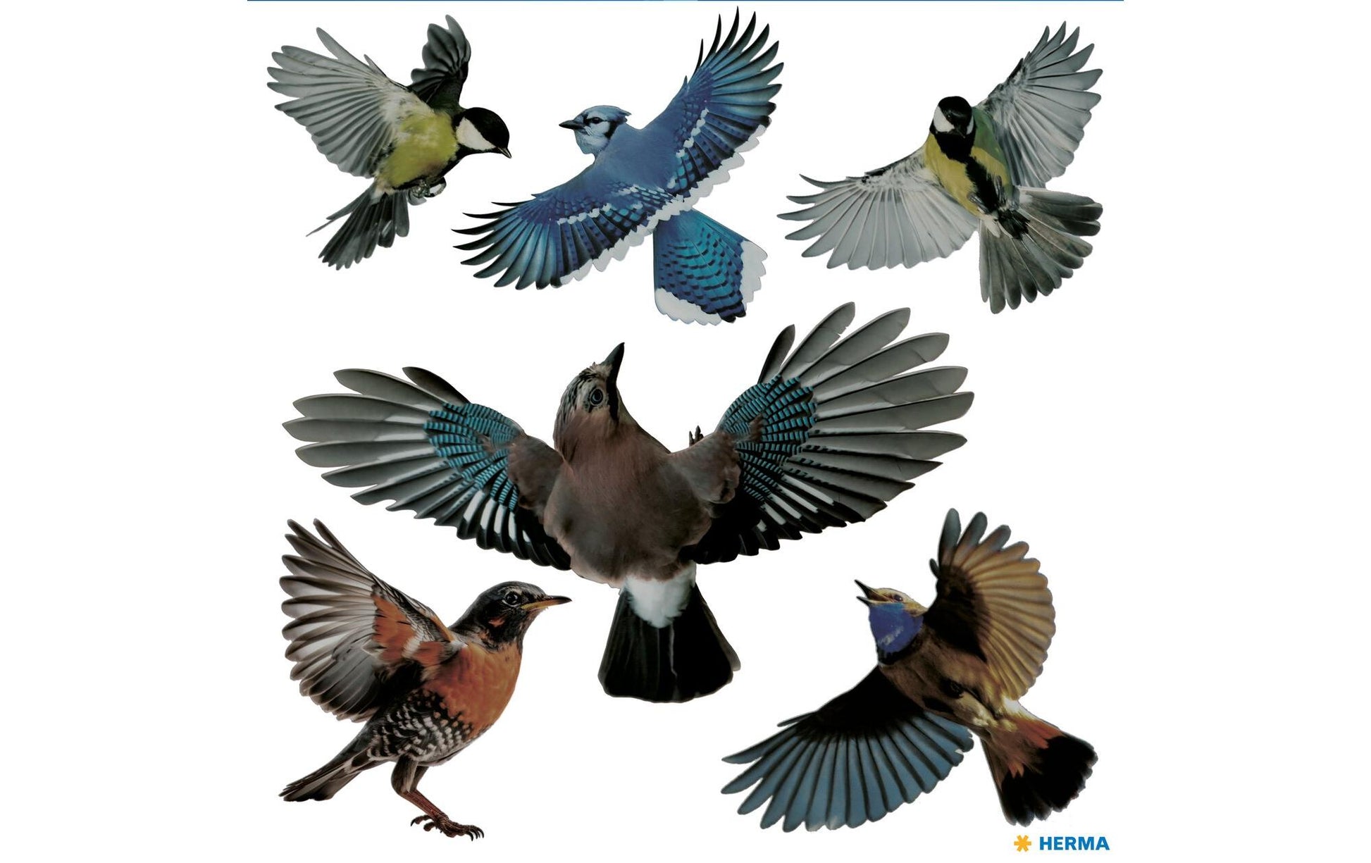 HERMA Warnschild – permanent, Vögel – 300 mm Höhe – mehrfarbig