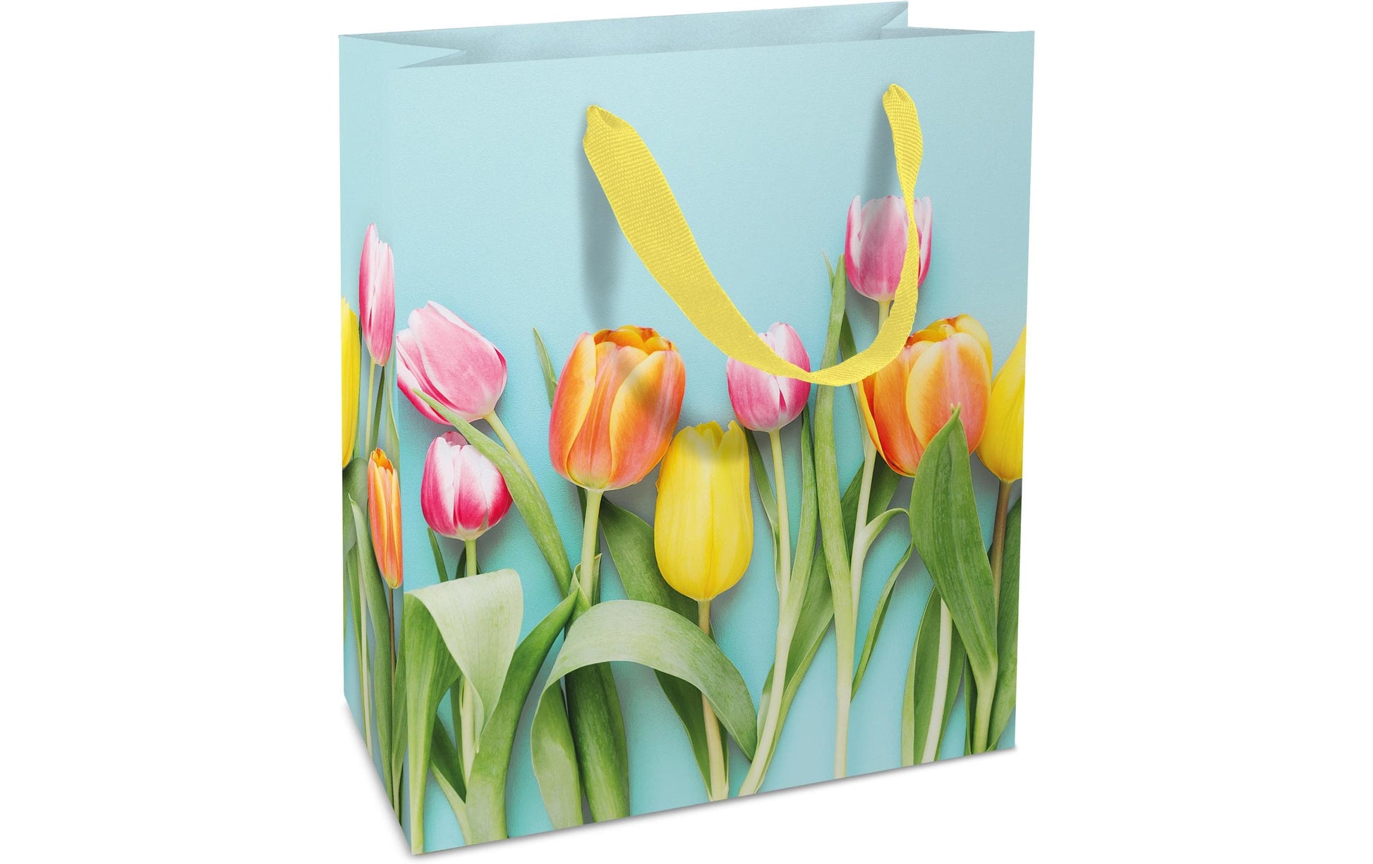 Braun + Company Tragetasche – Rainbow Tulips – Papier, matt – 180 × 210 × 80 mm