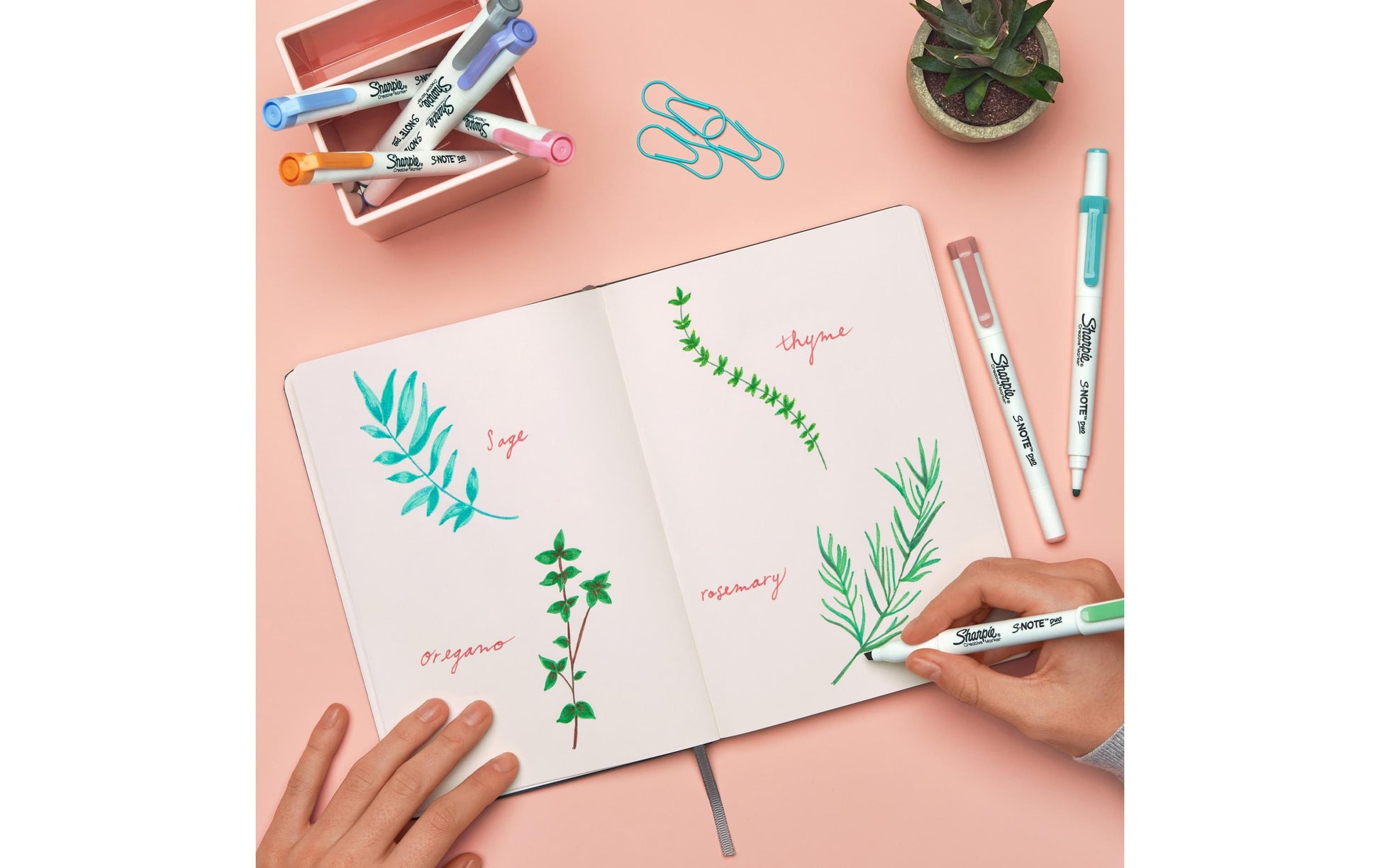 Sharpie S-Note DUO Textmarker – 8er Set, Farben: Dusty Rose/Mango/Narzisse, Keil/Fein, schnelltrocknend