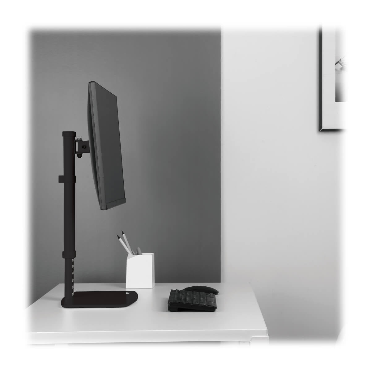 Tripp Lite DDV1727S – Monitor-Tischständer – freistehend – 1 Monitor – 17–27" – VESA 75×75/100×100 mm – höhenverstellbar