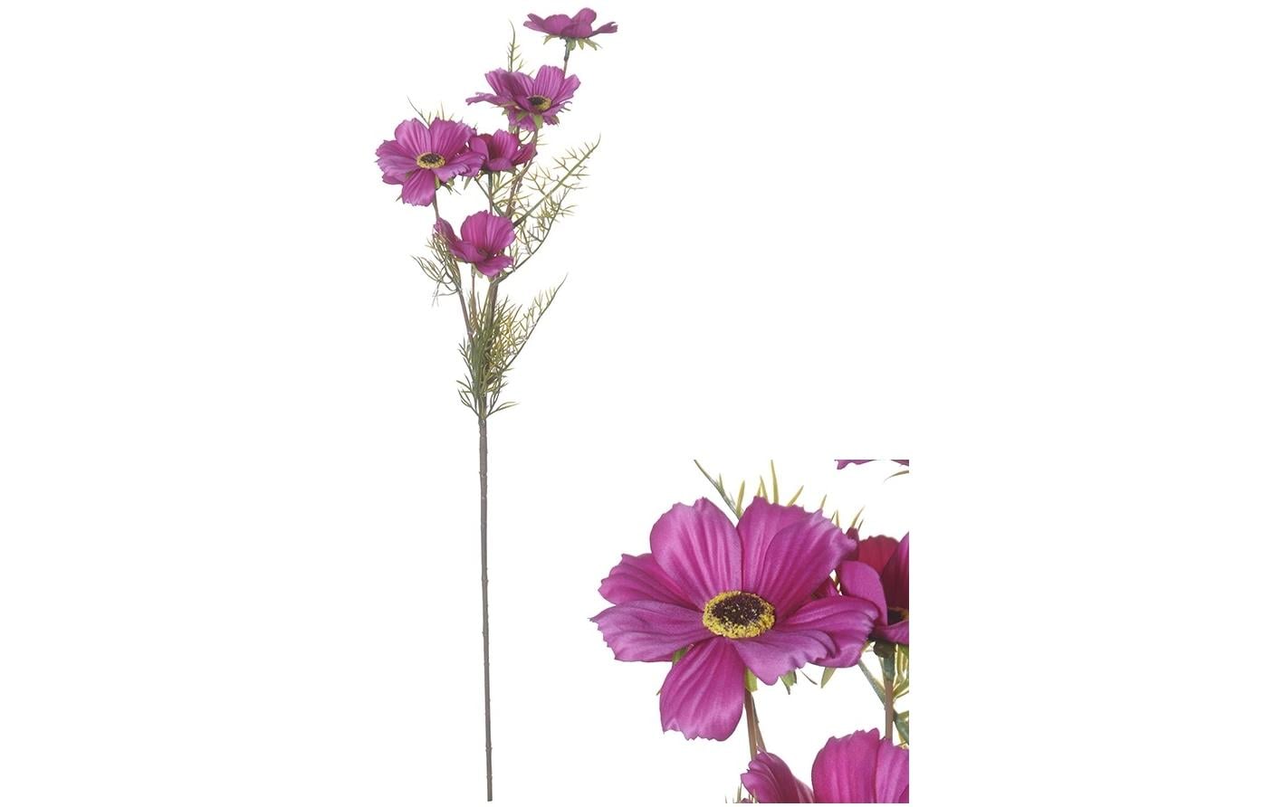 Chalet Trockenblumen Cosmos – Lavendel – 72 cm – 1er-Pack