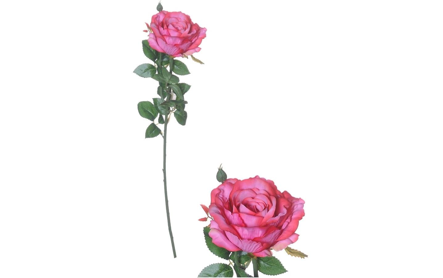 Chalet Kunstblume – Rose, 66 cm – Kunststoff, Fuchsia